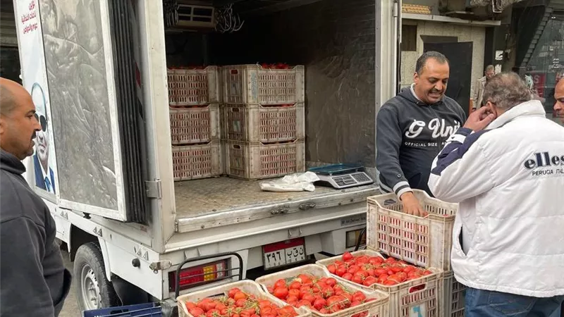 بسعر 21.5 جنيه..القابضة للصناعات الغذائية توفر سيارات متنقلة لبيع الطماطم 