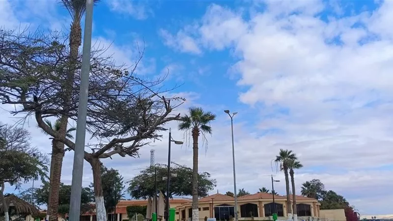 طقس الإسماعيلية اليوم الأحد.. معتدل نهارًا ومائل للبرودة ليلًا  