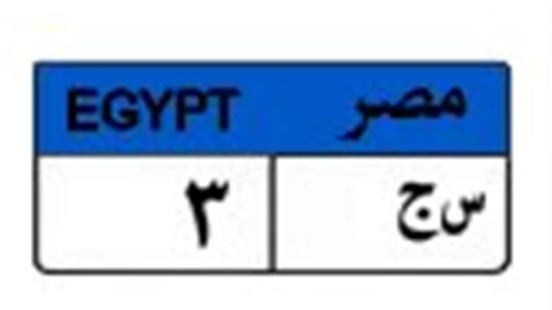 بـ 500 ألف جنيه.. لوحة 