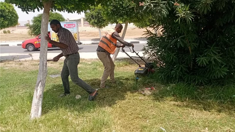 قص وتهذيب الأشجار وزراعة الورود.. خطة لتجميل الإسماعيلية قبل عيد الفطر