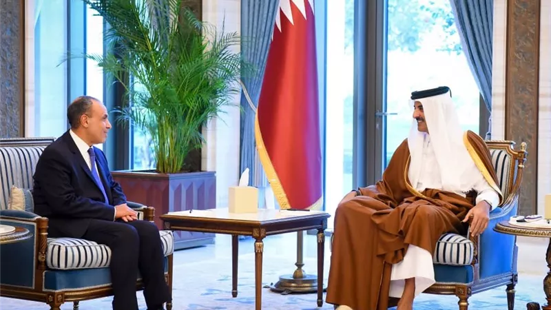 وزير الخارجية: أمن قطر والخليج جزء لا يتجزأ من أمن مصر