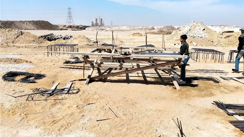 محافظ القاهرة: بدء تنفيذ «شلتر» لإيواء الكلاب الضالة بالتبين