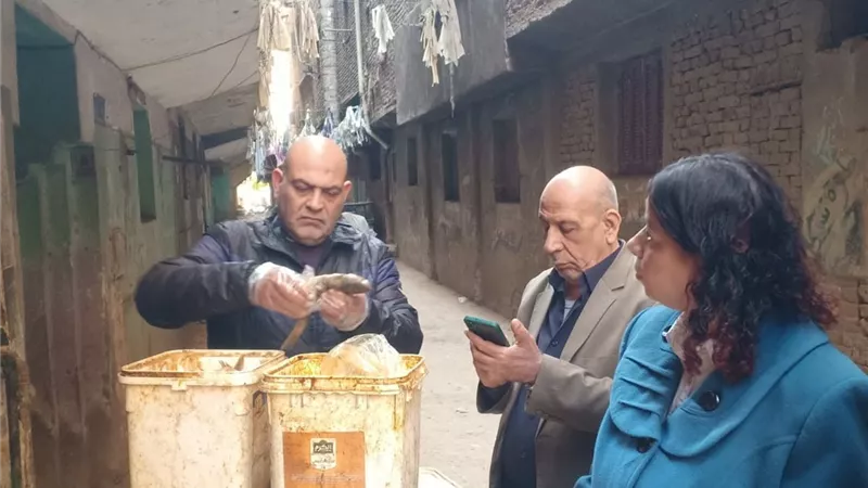 حملة رقابية مكثفة في القليوبية تضبط 850 كجم أسماك وفسيخ غير صالحة