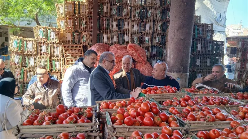 «حماية المستهلك» يضبط 14 مخالفة تلاعب بالأسعار في الإسكندرية