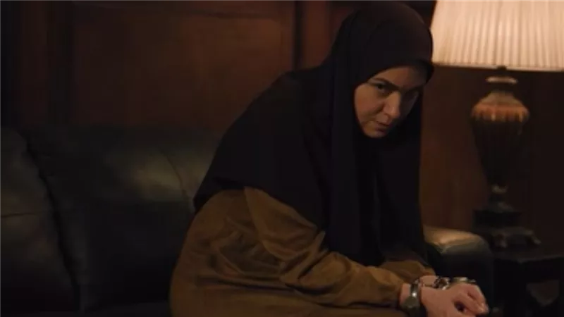 آخرهم نرجس.. شخصيات فنية انتهت قصتها خلف الأسوار