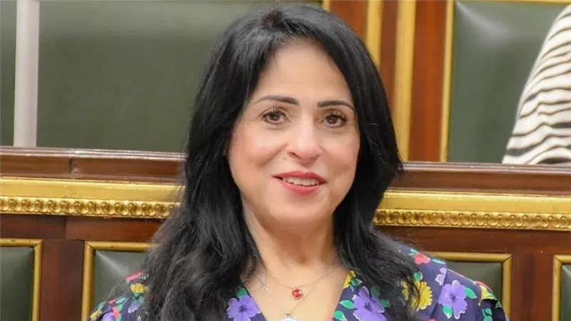 النائبة ميرال الهريدي: التطورات الإقليمية تتطلب تعزيز التنسيق العربي 