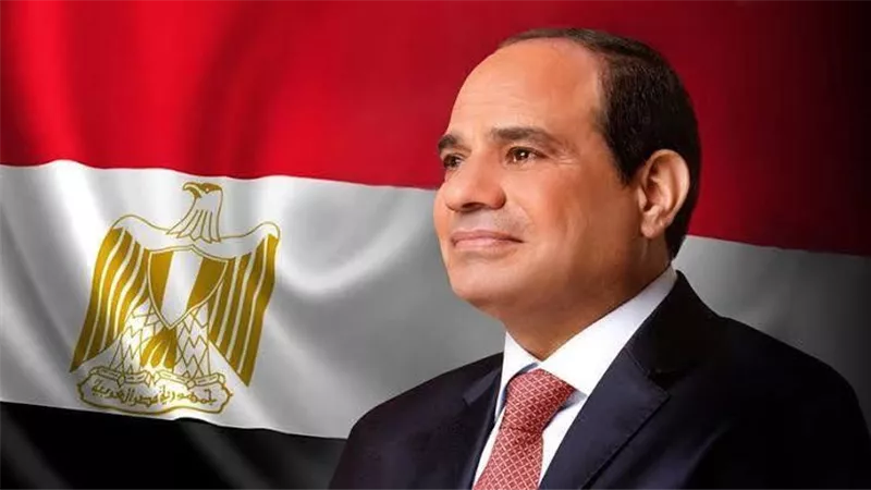 حامد فارس:  مصر صوت العقل وصوت الحكمة في المنطقة|فيديو