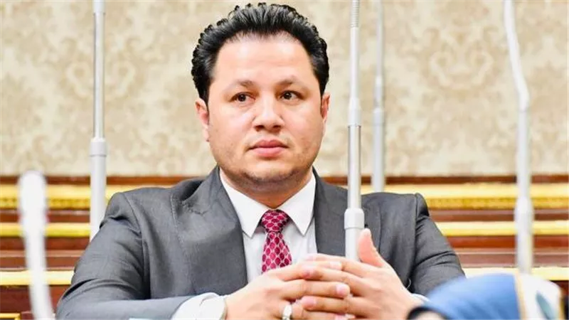 النائب سيد سمير: مصر تلعب دورًا محوريًا في حماية الأمن القومي العربي