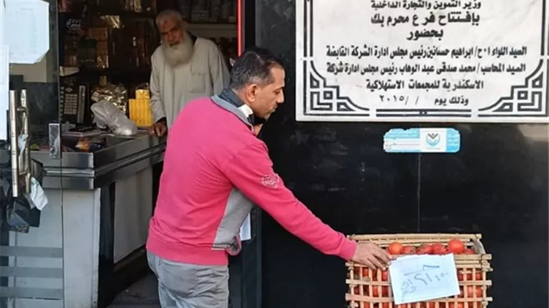 تموين الإسكندرية تطرح طماطم داخل المجمعات بأسعار مخفضة