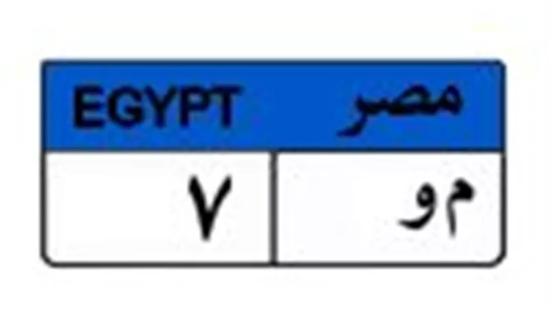 لوحة (م و 7) تشتعل.. السعر يقفز إلى مليون و200 ألف جنيه بمشاركة 6 متزايدين