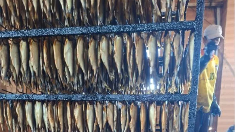 قبل العيد ..إحباط توزيع 600 كيلو رنجة فاسدة بالأسواق في طنطا