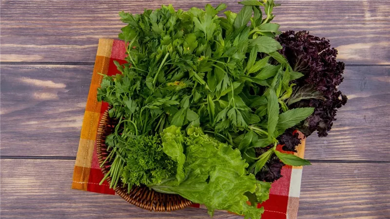 الريحان الأبرز.. أعشاب طازجة يجب شرائها أسبوعياً 