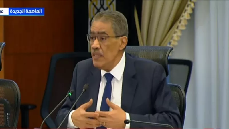 ضياء رشوان: مصر تؤكد تضامنها الكامل مع الخليج والعراق والأردن|فيديو