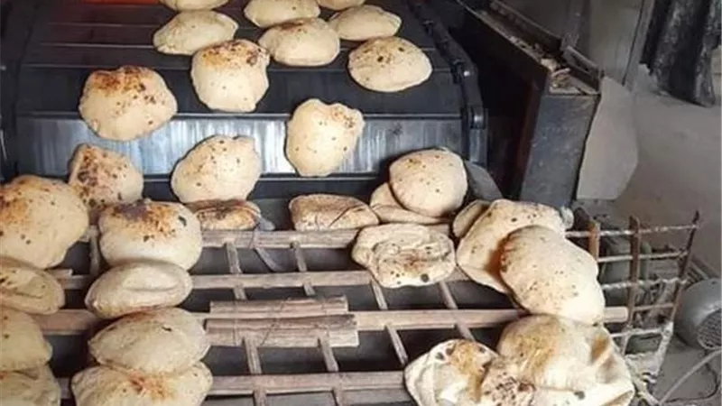 ضبط 81 مخالفة بمخابز الغربية وحملات مكثفة لحماية رغيف الغلابة