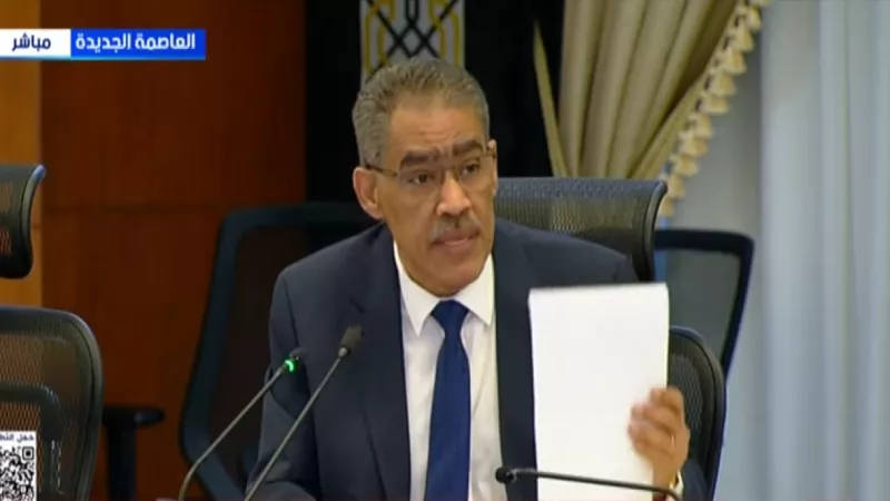 ضياء رشوان: مصر ملتزمة بحماية الوحدة العربية ضد محاولات الفتنة|فيديو