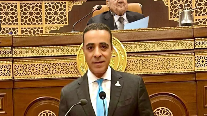 رئيس الوفد يعين أحمد حماد مستشارًا لشؤون اللجان الإقليمية والنوعية