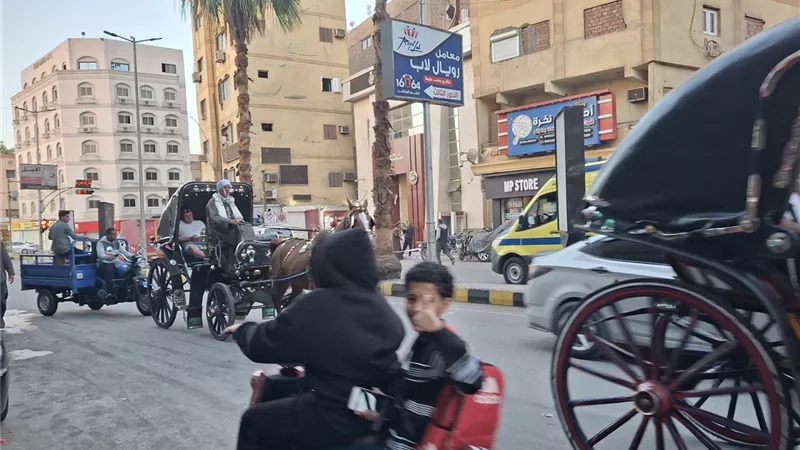 طقس اليوم في الأقصر.. مشمس مع درجات حرارة دافئة نهارا