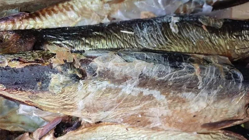 ضبط نصف طن فسيخ فاسد في حملة مفاجئة قبل العيد بساعات بالغربية