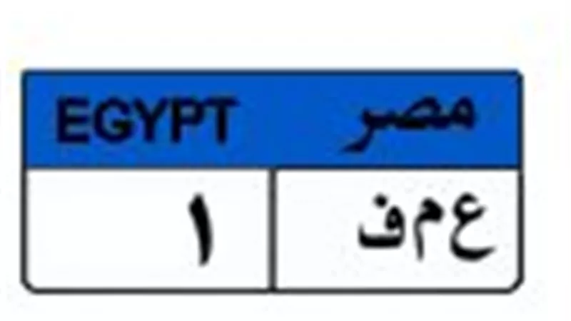 تقترب من نصف مليون .. لوحة 