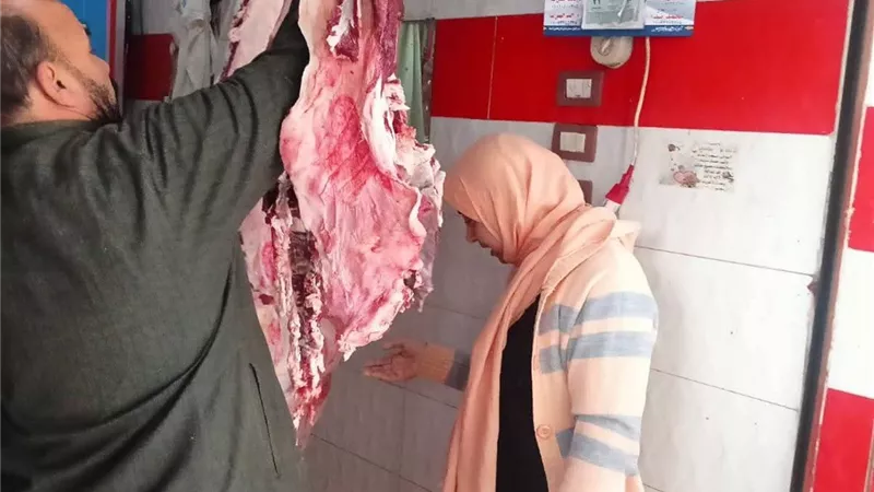 ضبط فسيخ ولحوم غير صالحة للاستهلاك الآدمي بكفر الشيخ