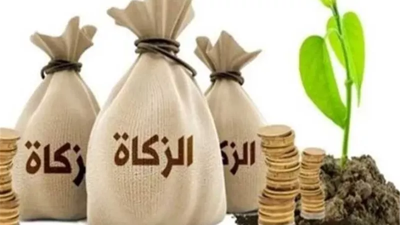 لو متجوز في السر.. حكم إخراج زكاة الفطر عن الزوجة الثانية | خاص 