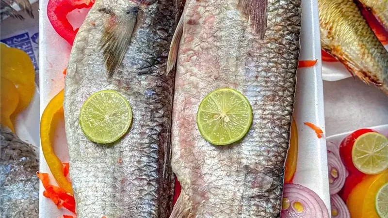 كعك في الصباح وفسيخ في النيل.. طقوس أهالي كفر الشيخ في عيد الفطر