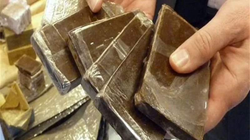  ضبط متهم بحوزته 80 فرش حشيش وسلاح ناري في العيد بالغربية 