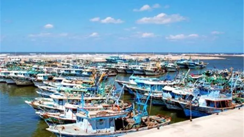  توقف حركة الملاحة والصيد بميناء البرلس والسواحل الشمالية بكفرالشيخ