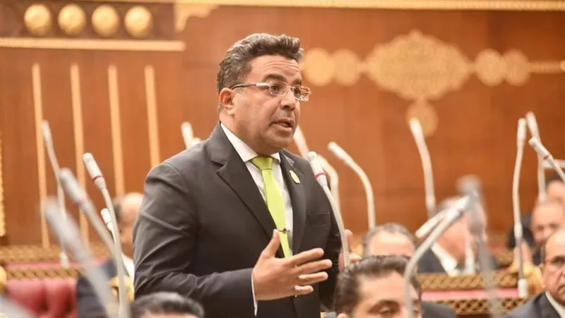«برلماني»: مصر تتحرك لمنع إشعال المنطقة بصراع طائفي