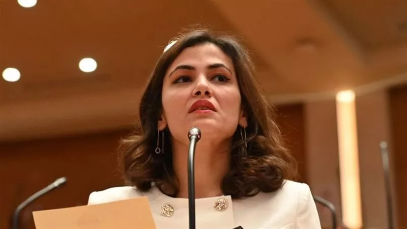 بعد غد.. البرلمان يبحث سياسة الحكومة في تأمين أدوية الأمراض المزمنة