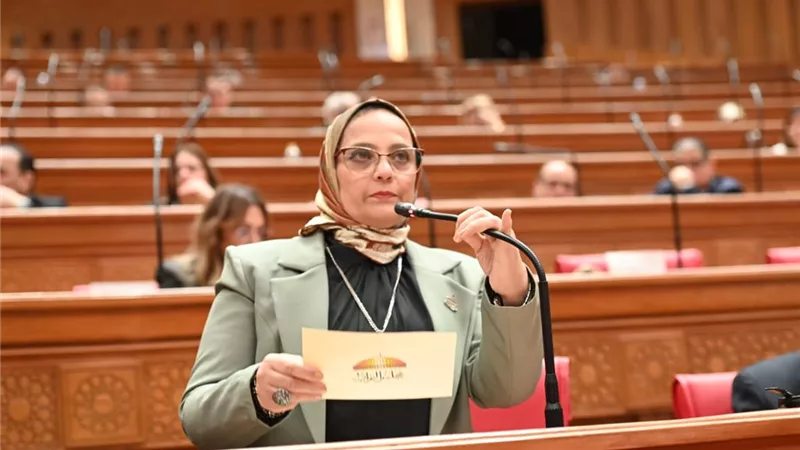 «برلمانية»: القاهرة وعواصم الخليج بينهما علاقات تاريخية وسياسية «عميقة»