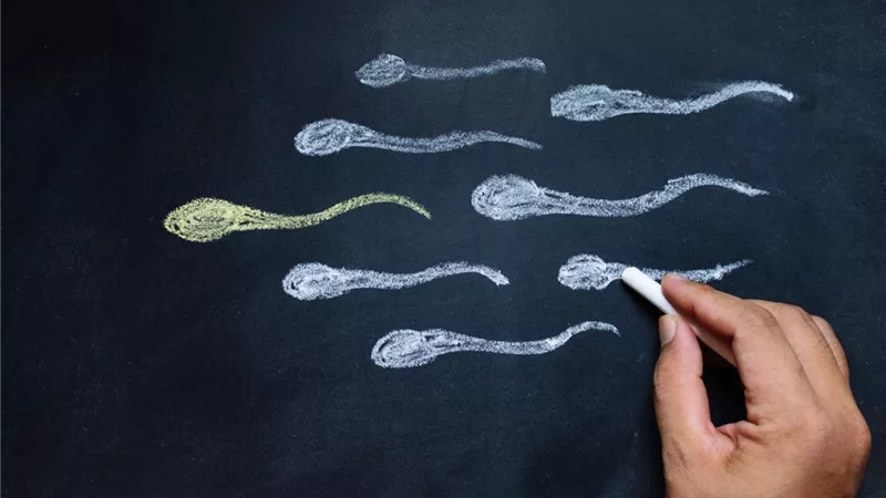 الأطعمة السريعة تضعف الخصوبة لدى الرجال
