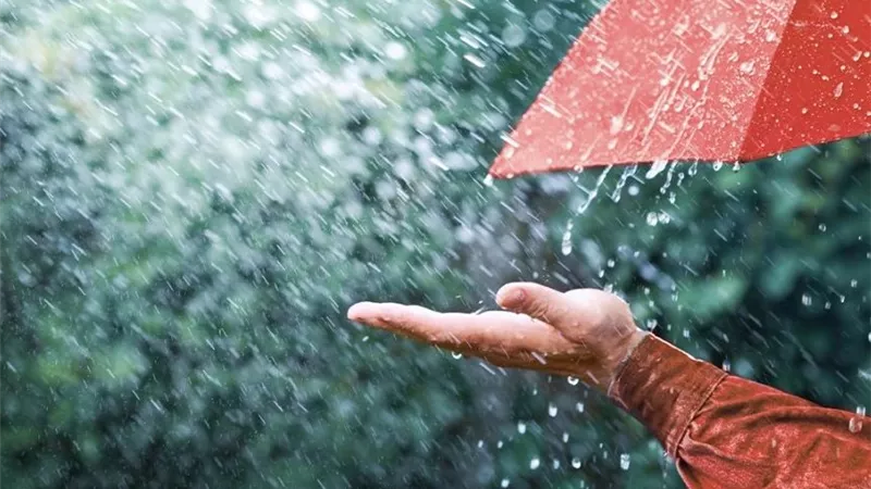 هل يجوز الوضوء بماء المطر؟.. الإفتاء تحسم الجدل