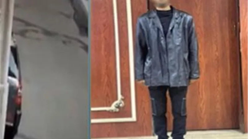 التحقيق مع شخص بتهمة سرقة أموال من سيارة بالدقهلية 