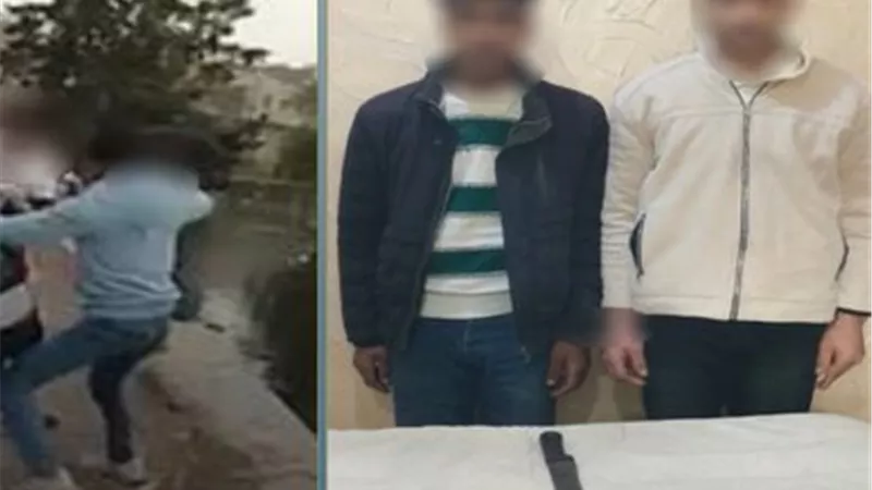التحقيق مع المتهمين بعد التعدي على سائق وشقيقه بالدقهلية 
