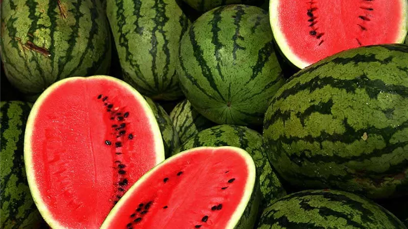 سر البطيخة الحلوة… نقيب الفلاحين يكشف علامات اختيارها|خاص