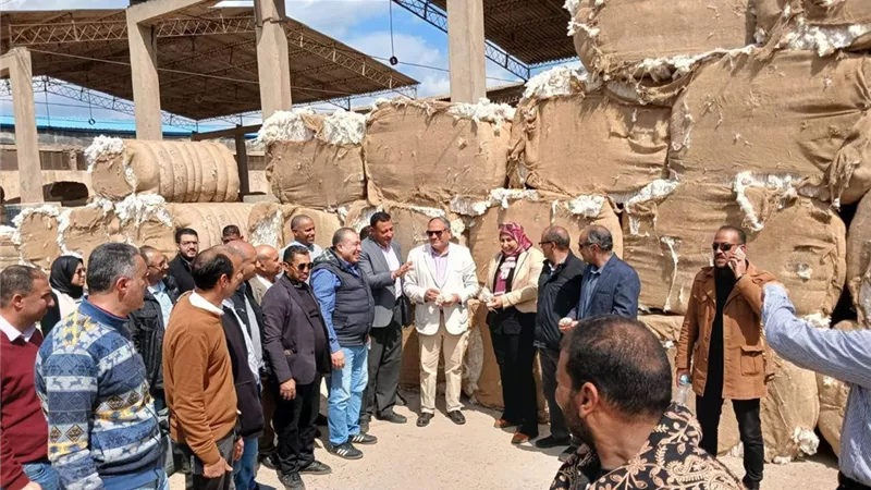 البحوث الزراعية في سخا.. طفرة جديدة في القمح والأعلاف والقطن خلال العيد
