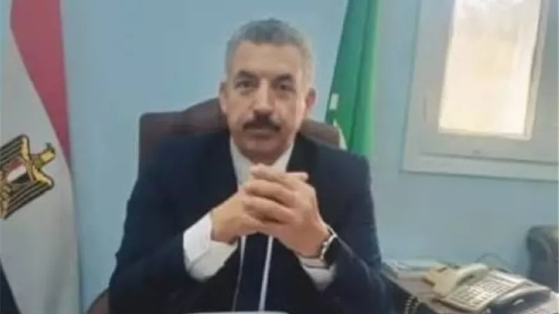 وكيل زراعة المنيا: التزام المزارعين وراء قفزة مساحات القمح لـ 232 ألف فدان