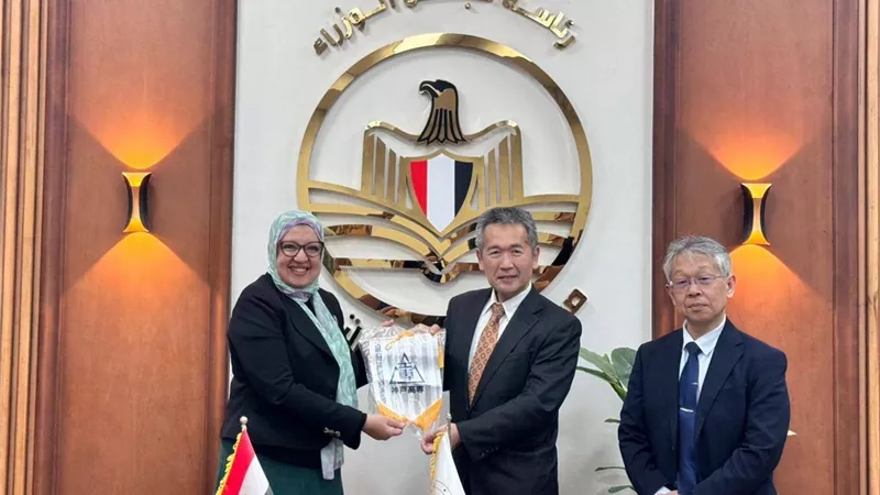 «تطوير التعليم بالوزراء» يستقبل وفد «الجايكا» لبحث إدخال تخصصات الطاقة 