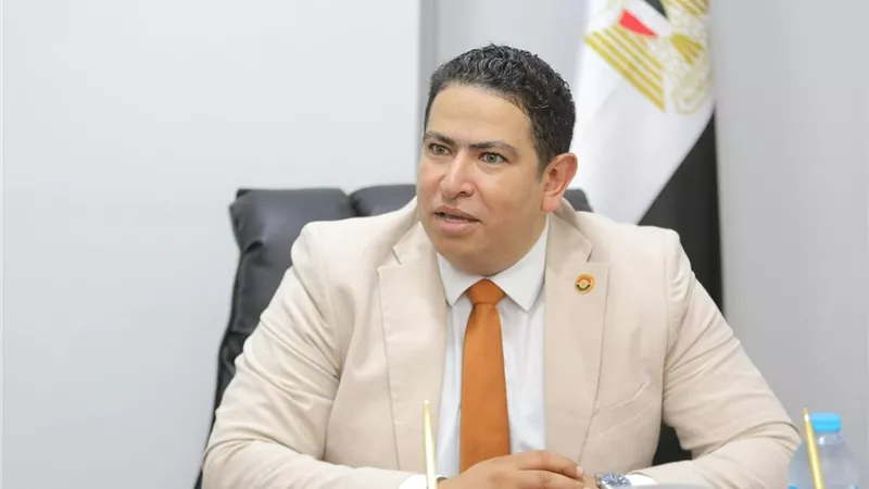 محمد رشيدي: مصر تتحرك لحماية المنطقة من الانزلاق نحو الفوضى