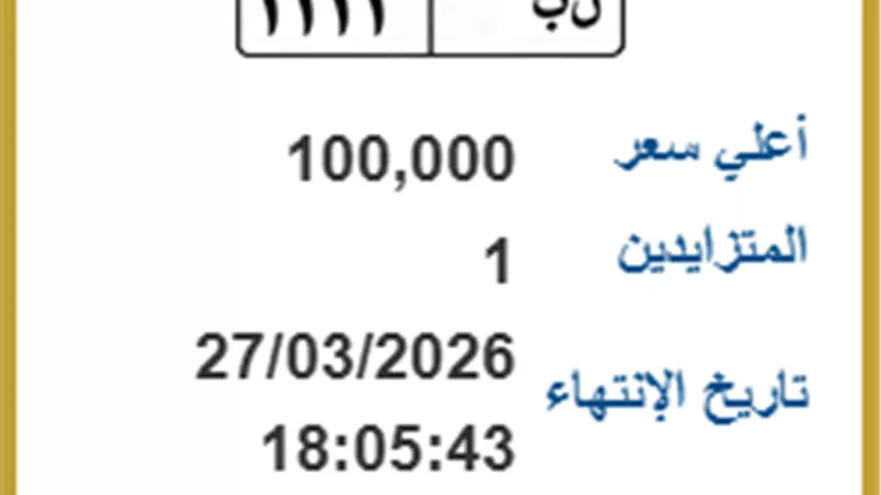 بـ 100 ألف جنيه.. لوحة السيارة «ن ب 1111» تشعل مزاد اللوحات 