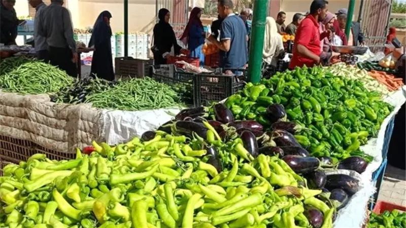 أسعار الخضروات اليوم.. قفزات حادة في ورق العنب والكرنب وتراجع الطماطم