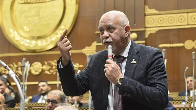 حازم الجندي: مصر في قلب جهود الوساطة الدولية لوقف التصعيد بالمنطقة