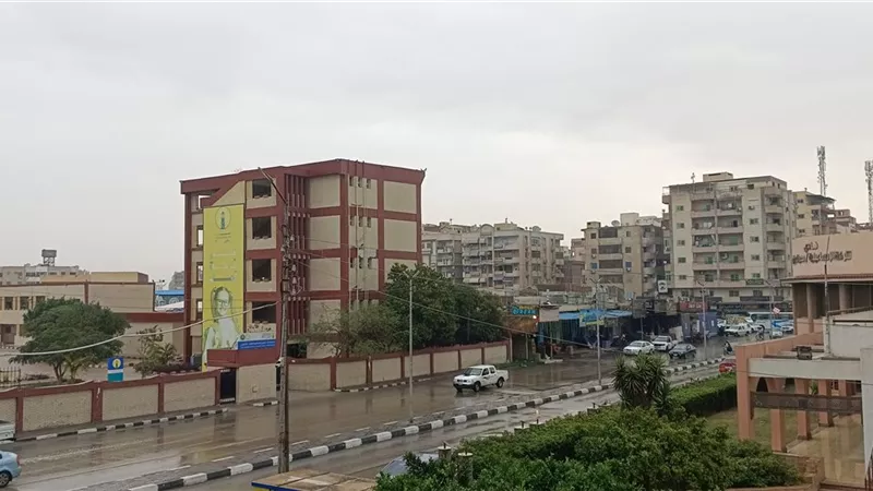 بدء هطول الأمطار في الإسماعيلية تزامنًا مع ذروة موجة التقلبات الجوية|فيديو