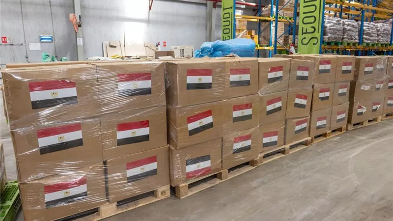 بتوجيهات رئاسية.. مصر ترسل 1000 طن مساعدات طبية وغذائية لدعم لبنان |صور