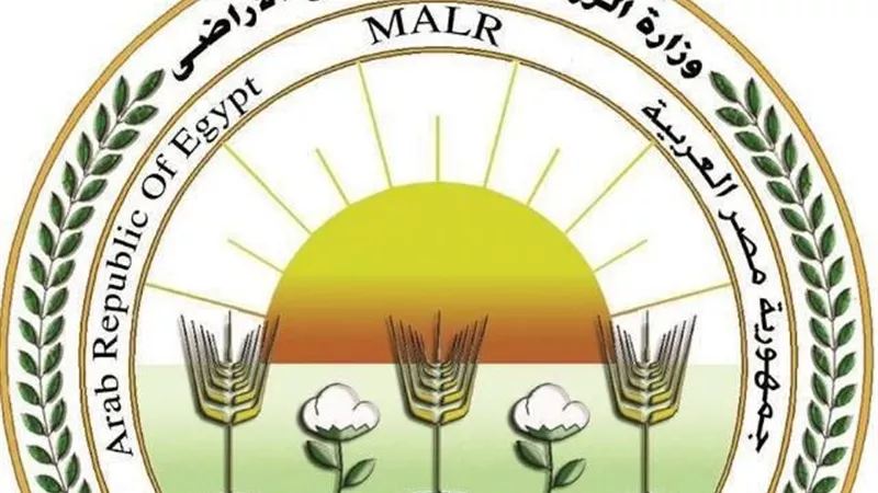 «الزراعة» تحصن أكثر من مليون رأس ماشية  ضد «الجلد العقدي» و«جدري الأغنام»