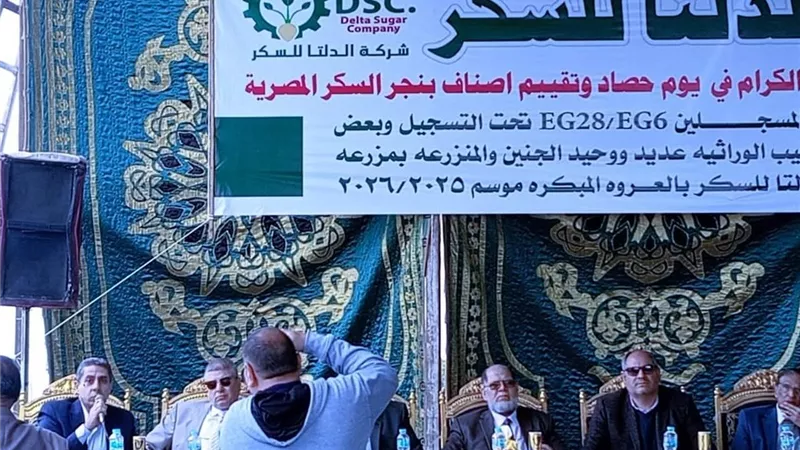 احتفالية تقييم أصناف بنجر السكر.. الحامول تشهد احتفالية يوم الحصاد
