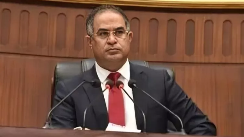 النائب سليمان وهدان: دعم مصر لدول الخليج يعكس التضامن العربي الحقيقي