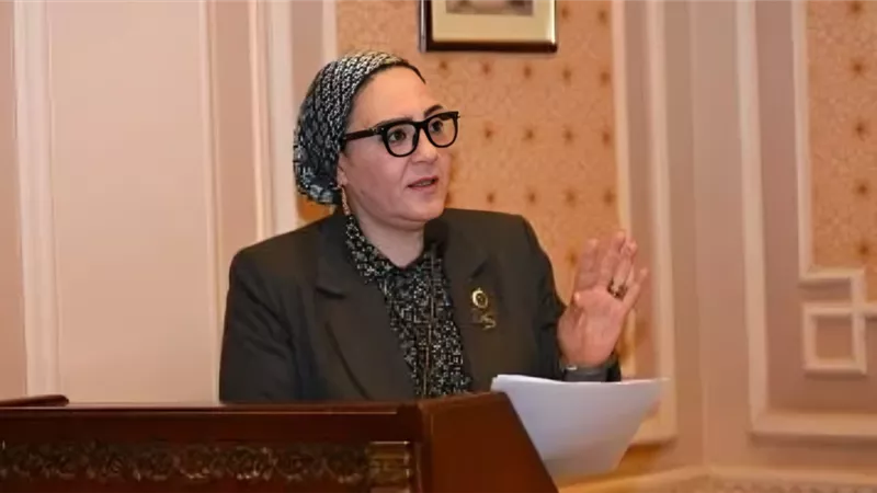 داليا الأتربي: التحركات المصرية تعكس رؤية استراتيجية لاحتواء أزمات المنطقة