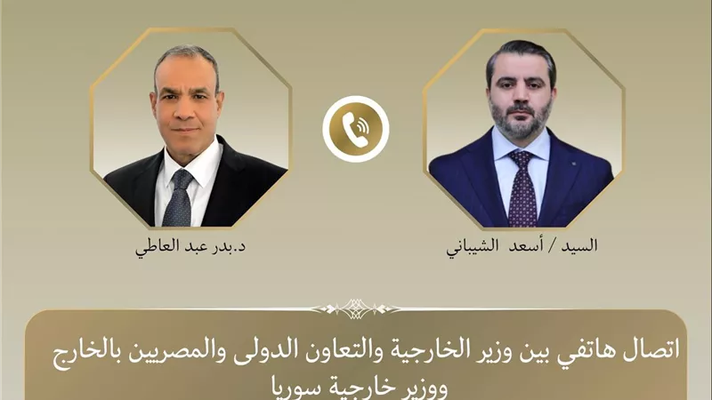وزير الخارجية يبحث مع نظيره السوري جهود خفض التصعيد الإقليمي